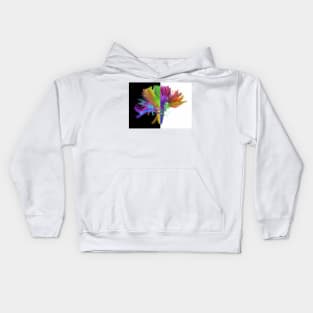 White matter fibres of the human brain (C023/9416) Kids Hoodie